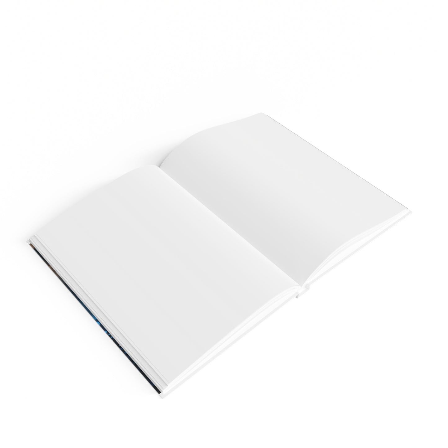 Artist Blackbook by Steve