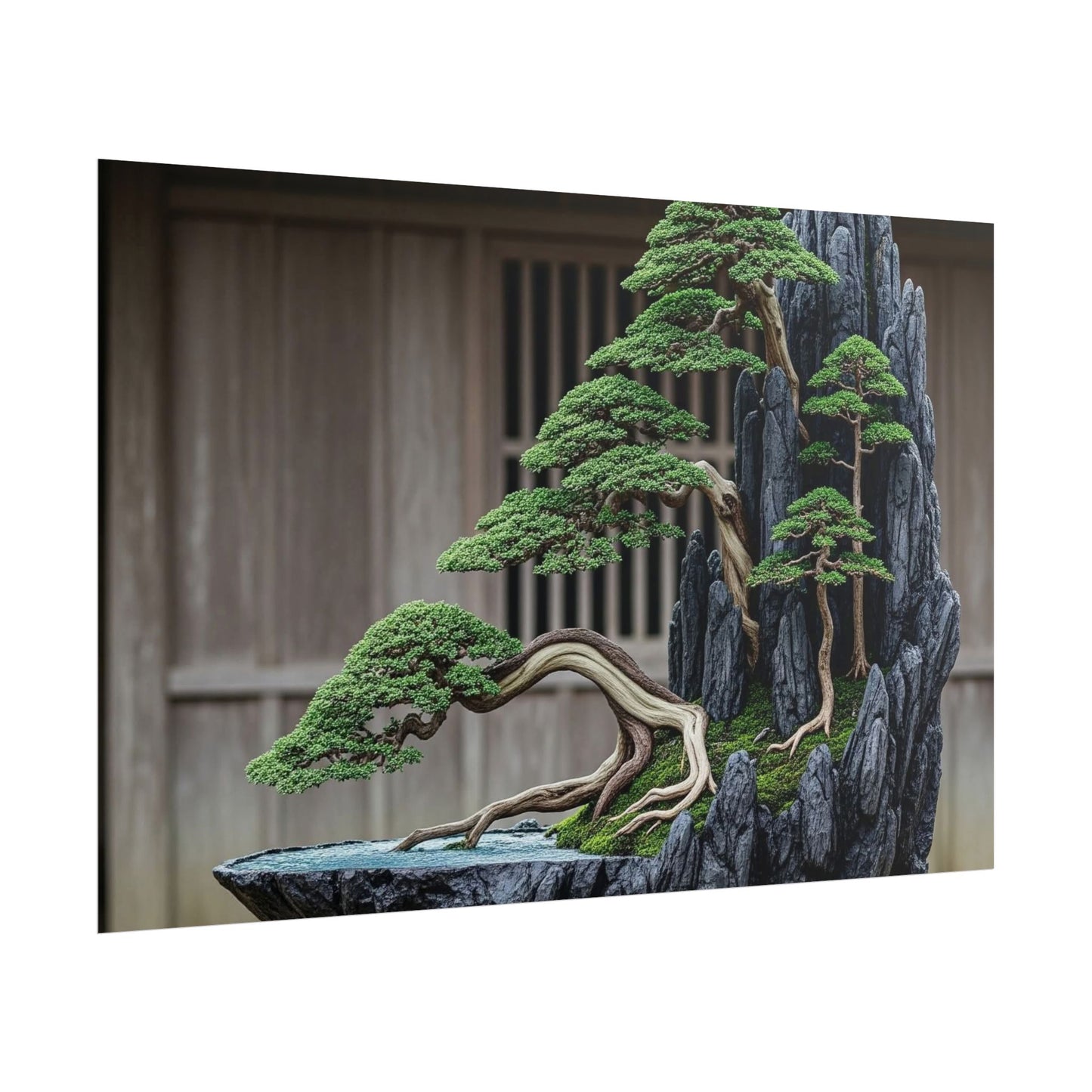 Bonsai - Art Print by Cloud