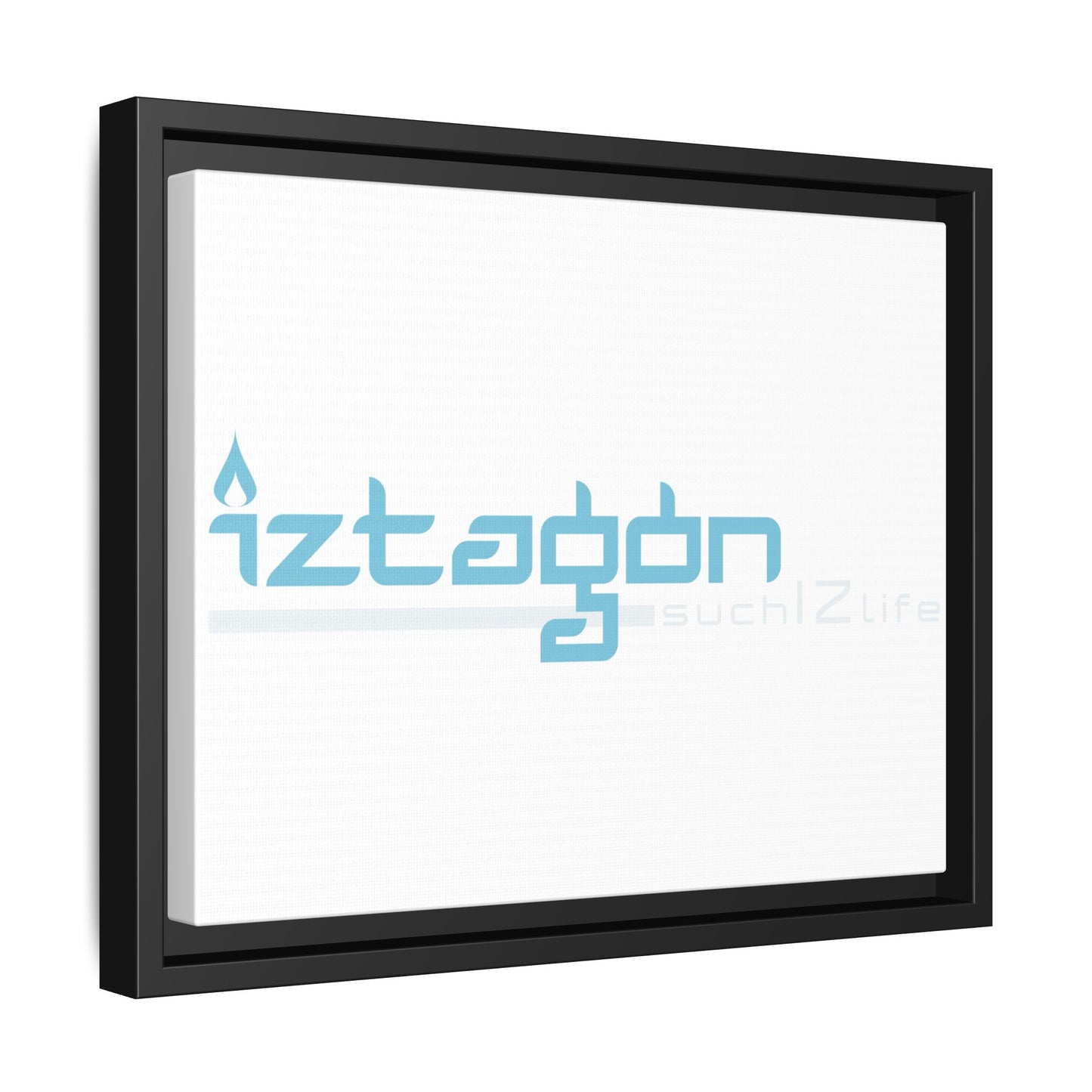 Framed Canvas by Steve