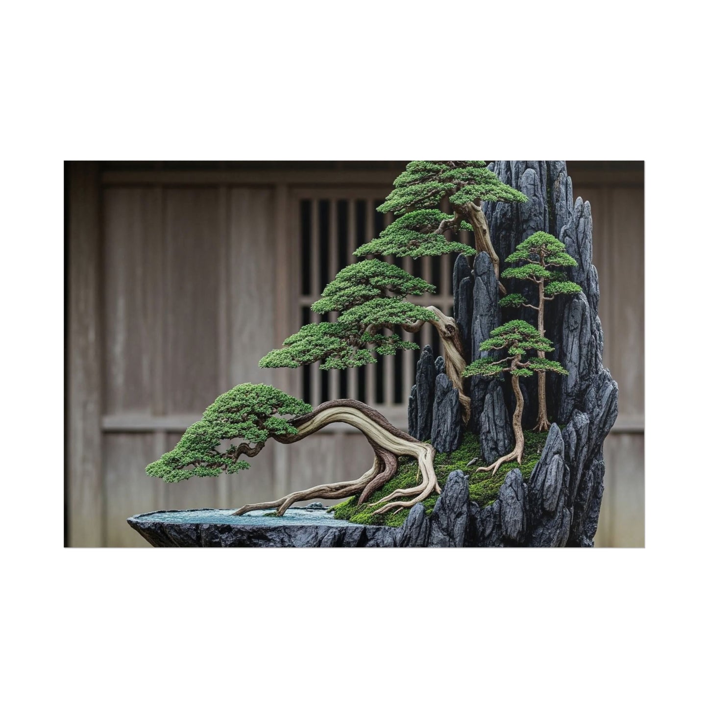 Bonsai - Art Print by Cloud