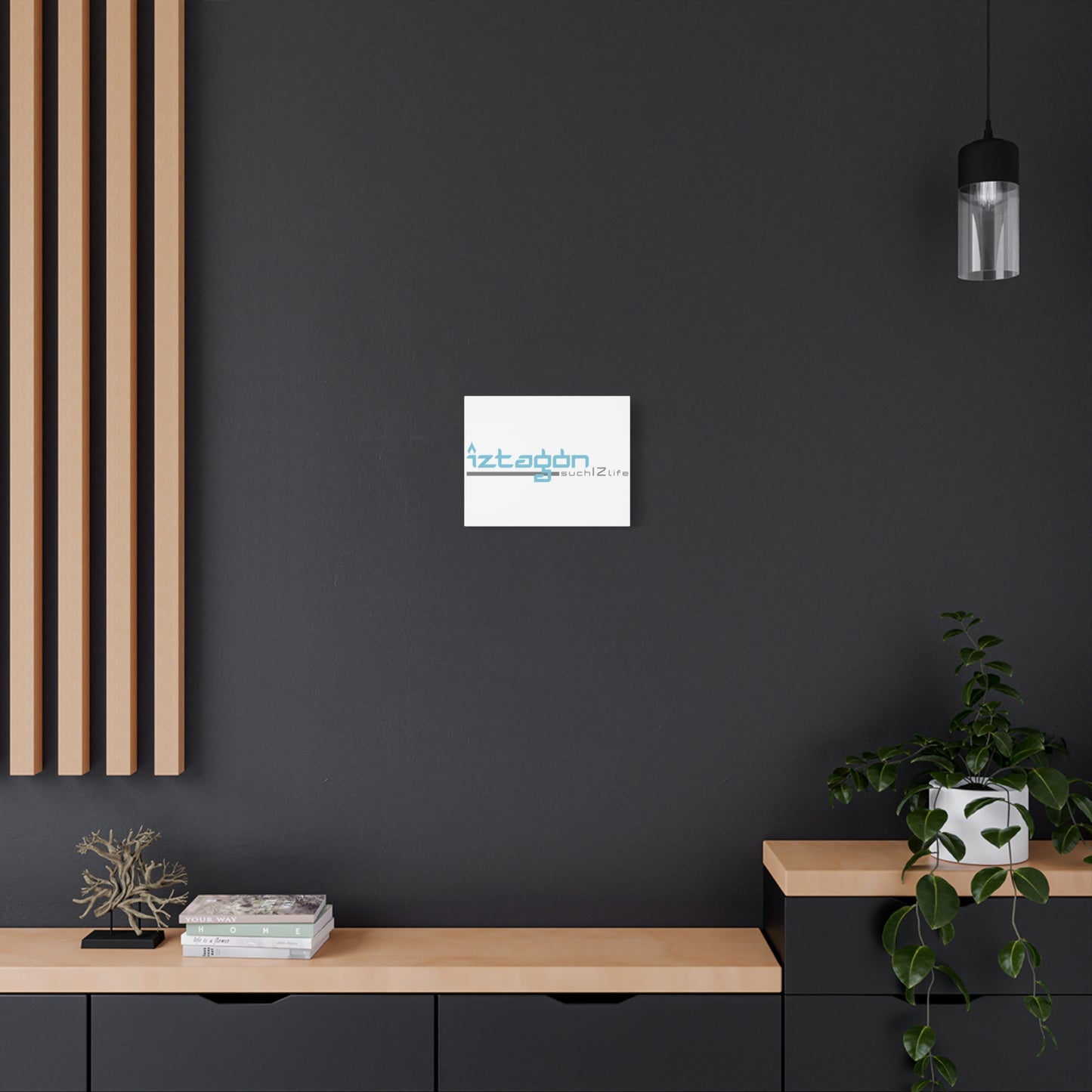 Canvas Print by Steve