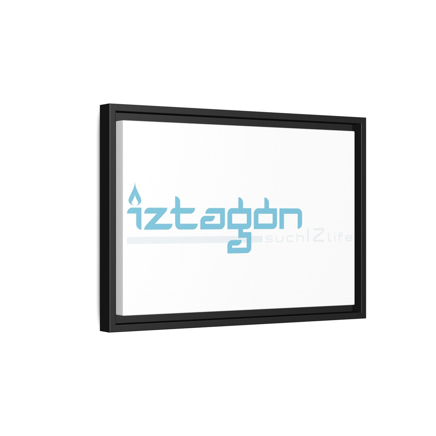 Framed Canvas by Steve