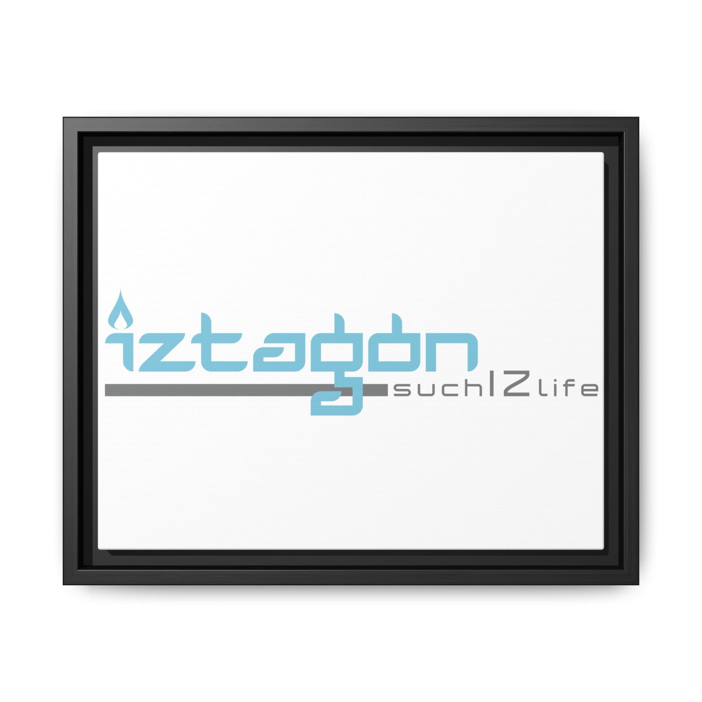 Framed Canvas by Steve