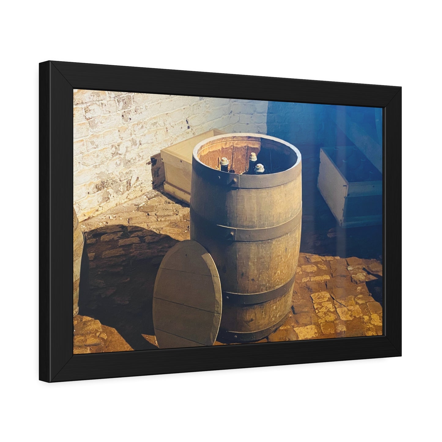 Framed Print by PixallPop