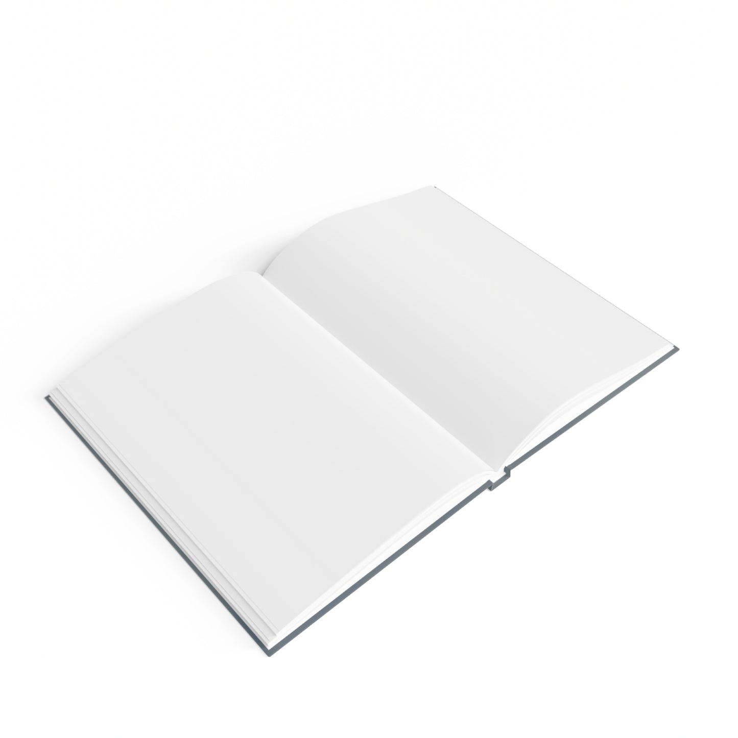 Artist Blackbook by Steve