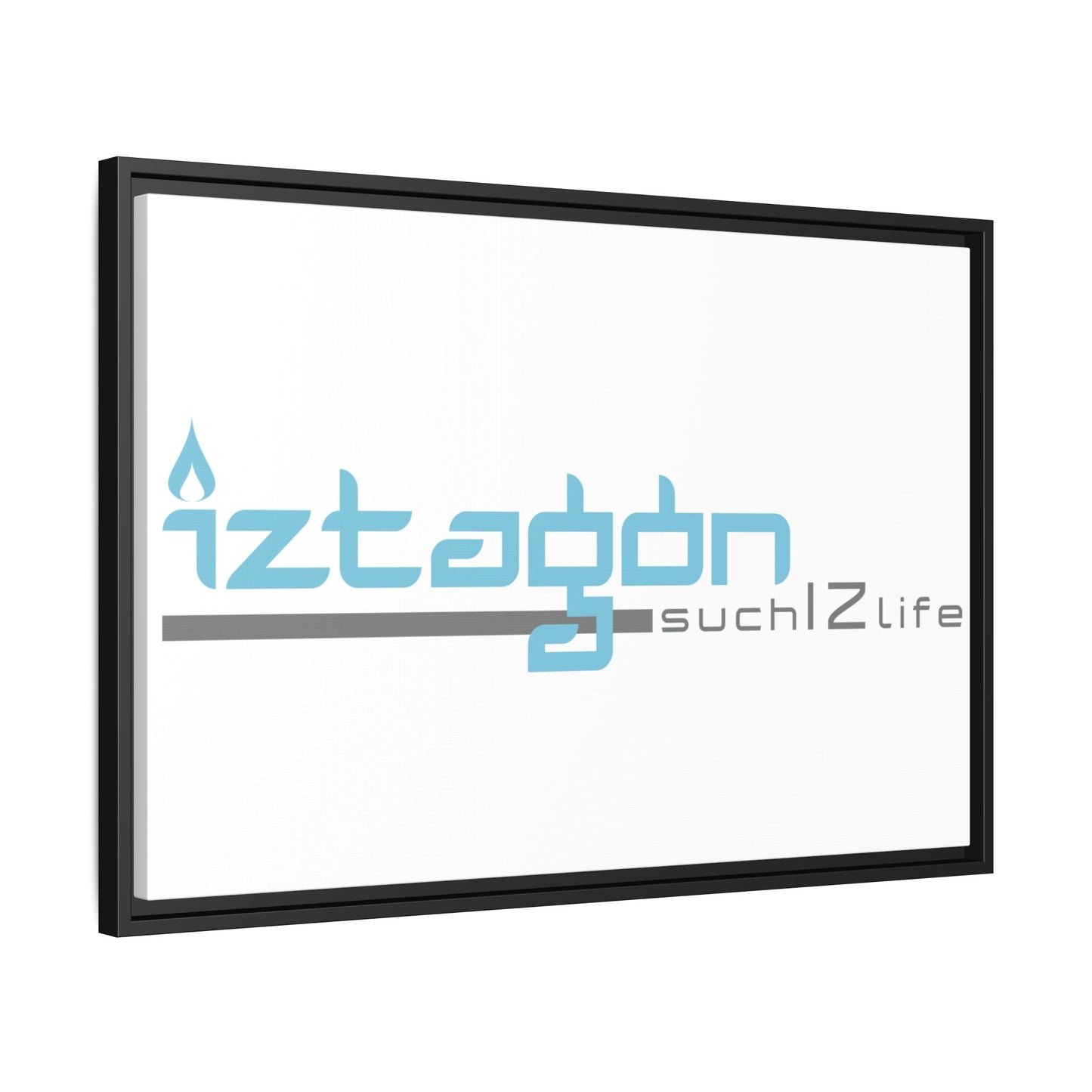 Framed Canvas by Steve